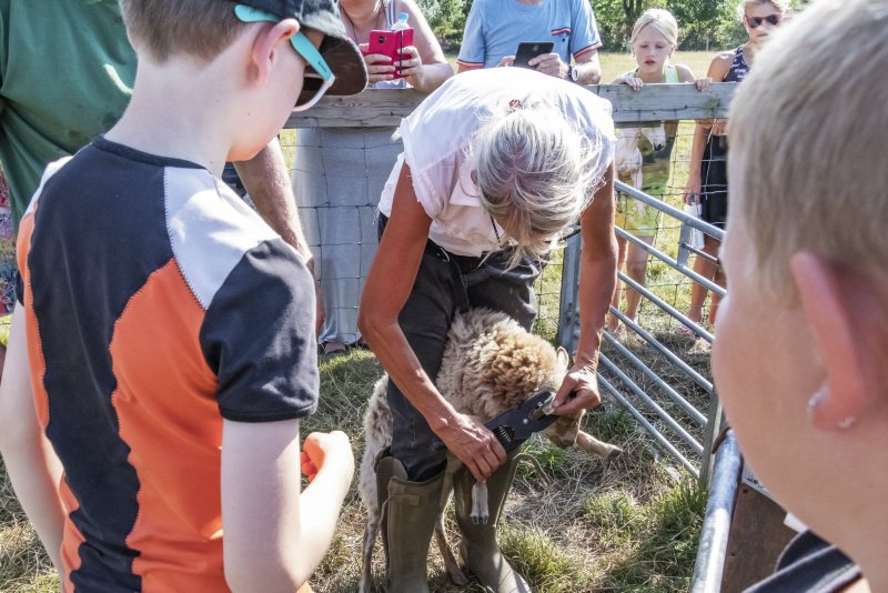 Stichting Blij met de hei hield feestelijke adoptiemiddag bij Herders van Balloo