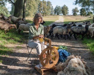 Van schaapsvacht tot kunstwerk