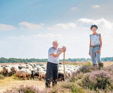 Samen 60 jaar schaapsherder